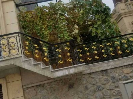 jrs赛事直播_jrs免费体育直播_jrs直播-手机版城2.1期别墅出售