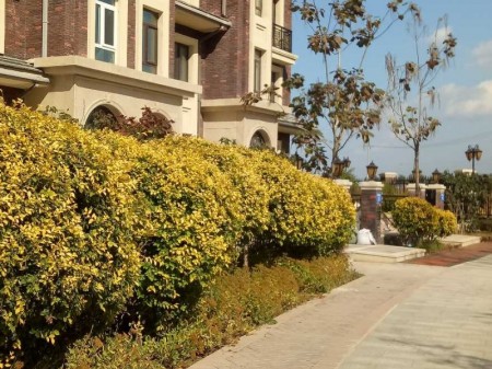 jrs赛事直播_jrs免费体育直播_jrs直播-手机版城1.3期房源出售